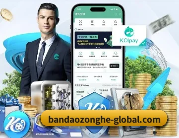 半岛综合 APP 深度功能
